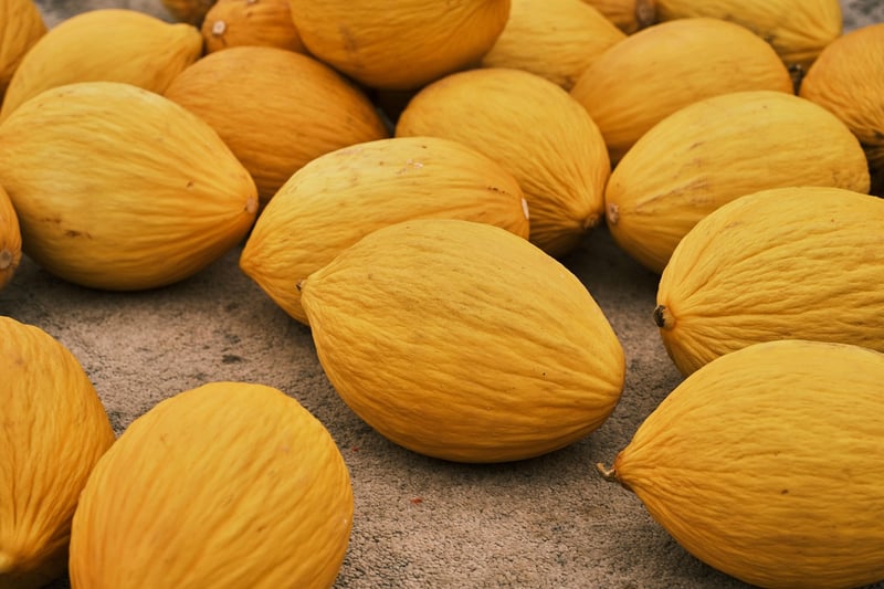 Seasonal Markets