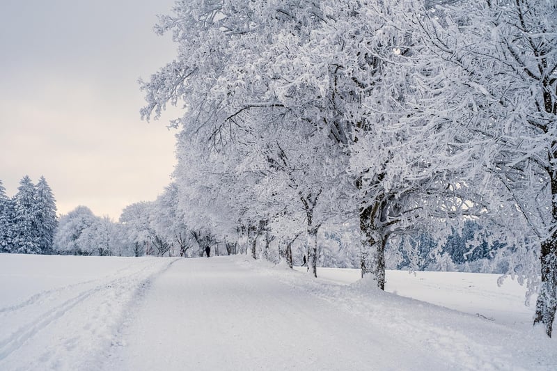 Winter getaway